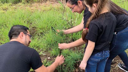 Volunteers planting a sapling